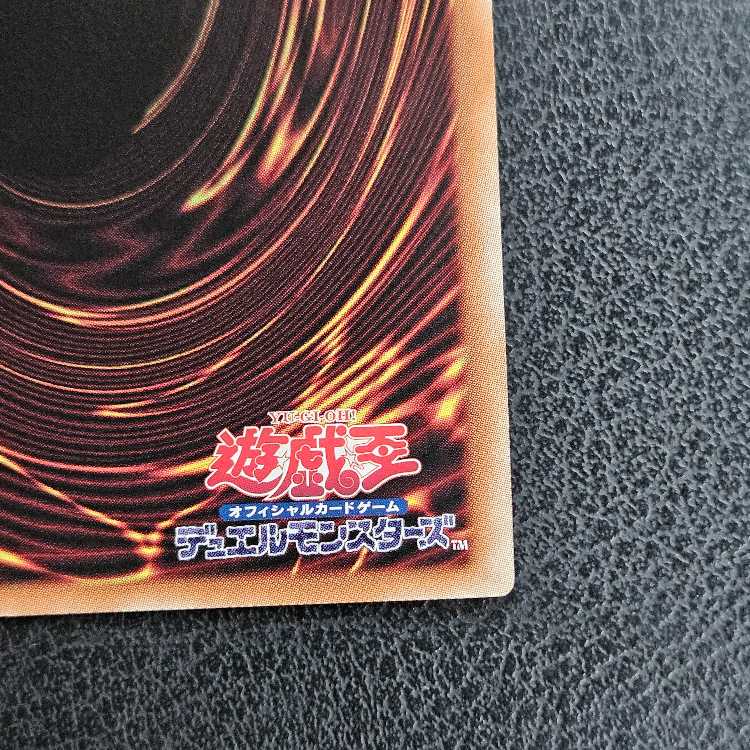 Dragon of Pride and Soul QCSE, 25th Sikh INFO-JP000