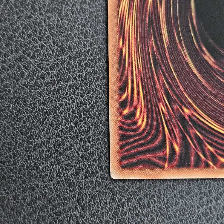 Dragon of Pride and Soul QCSE, 25th Sikh INFO-JP000