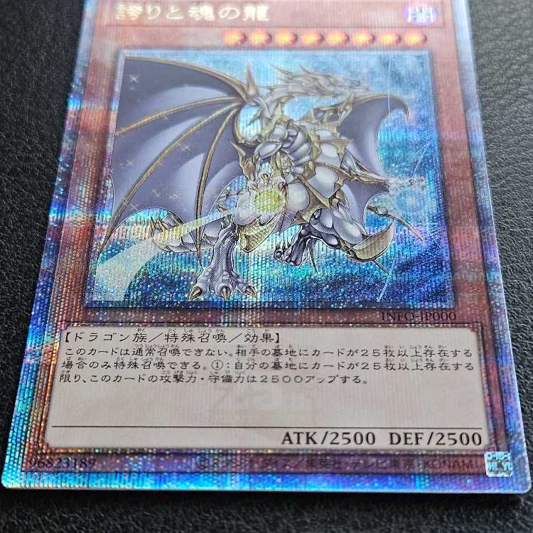 Dragon of Pride and Soul QCSE, 25th Sikh INFO-JP000