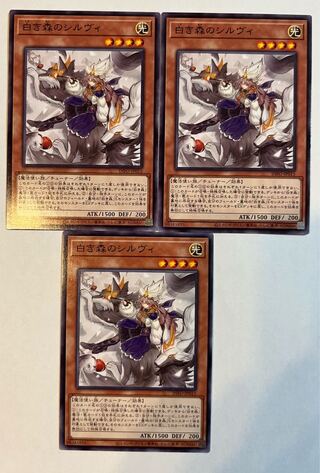 白き森のシルヴィ【ノーマル】JP015