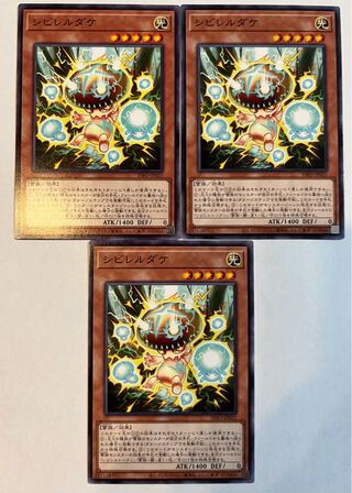 シビレルダケ ノーマル INFO-JP025