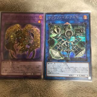 マドレース  サクリファイス・アニマ ミレニアム・アイズ・サクリファイス