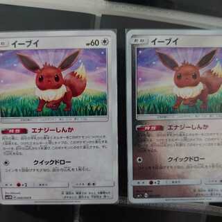 Eevee energy shinker, set of 2