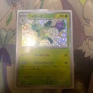 ニャローテ S 202/190