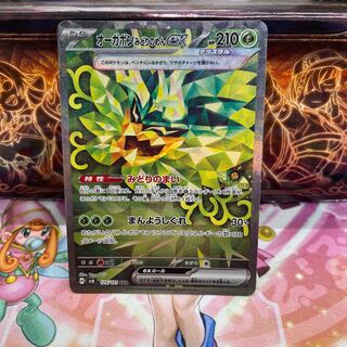 オーガポンみどりのめんex SAR 125/101