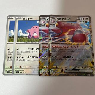 Blisseyex RR 085/101