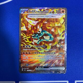 オーガポンかまどのめんex SAR 126/101