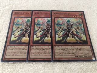 重騎士プリメラ