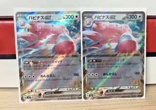 Blisseyex RR 085/101 Set of 2