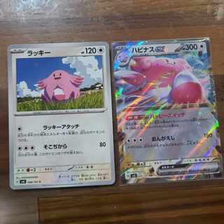 Blisseyex RR 085/101