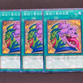 強欲で貪欲な壺　3枚セット