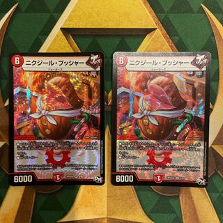 Nikziel Bucher VR 8/93