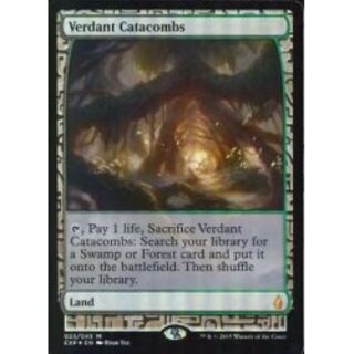 EX](FOIL)新緑の地下墓地/Verdant Catacombs《英語》【EXP】の通販 