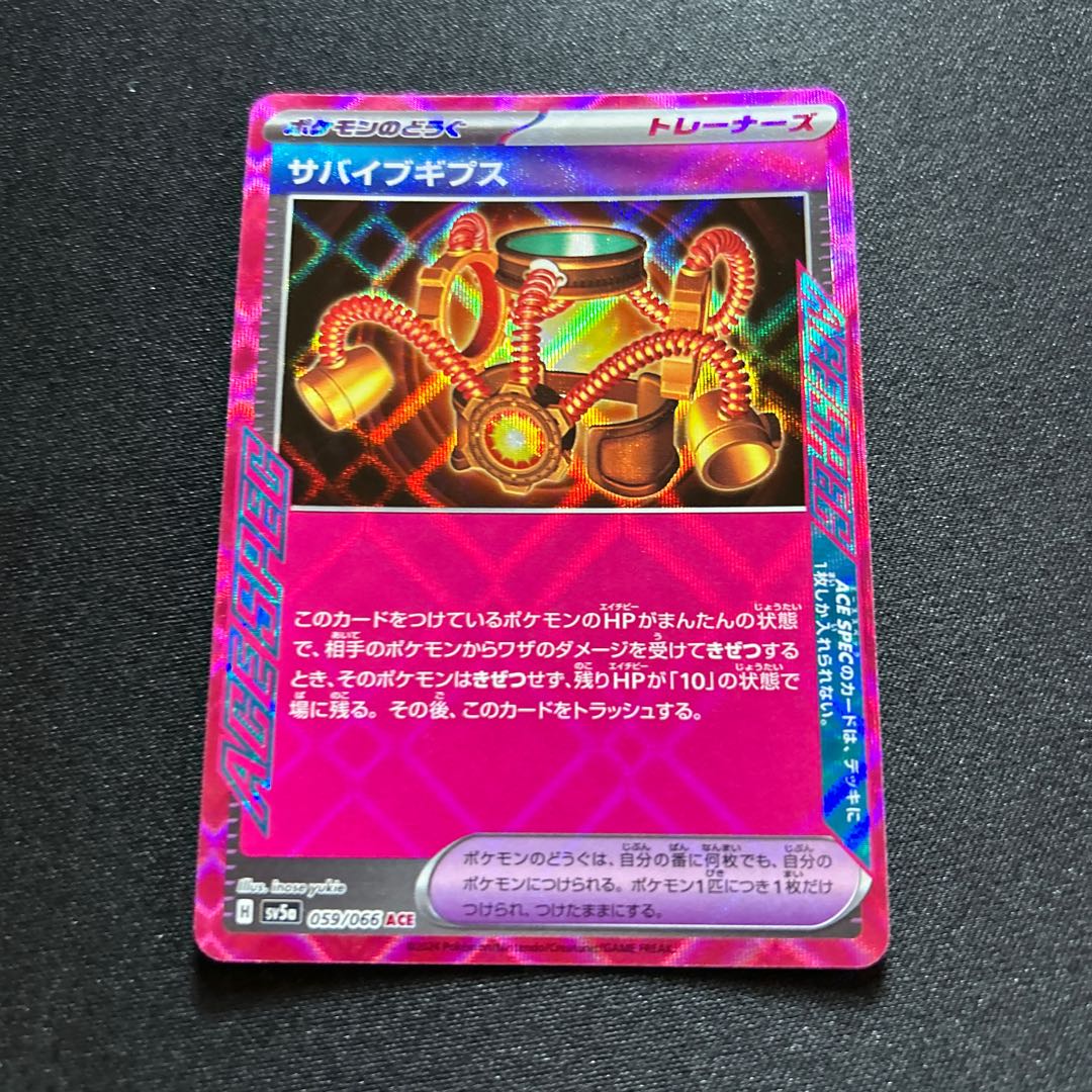 Survive Gips ACE 059/066