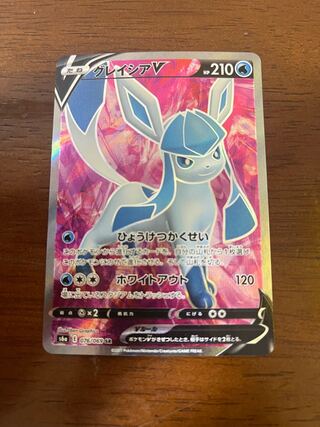 ワン様専用　グレイシアV