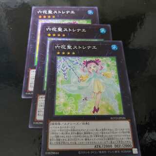 六花聖ストレナエ SR