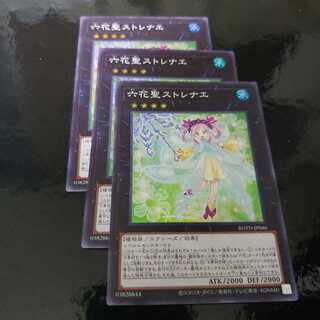 六花聖ストレナエ SR