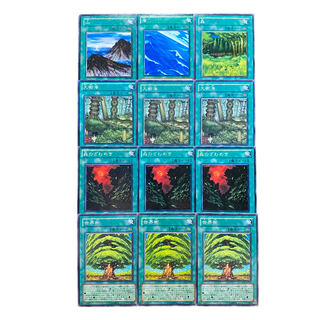 3110【遊戯王】山/海/森/大樹海3/森のざわめき3/世界樹3 セット売り