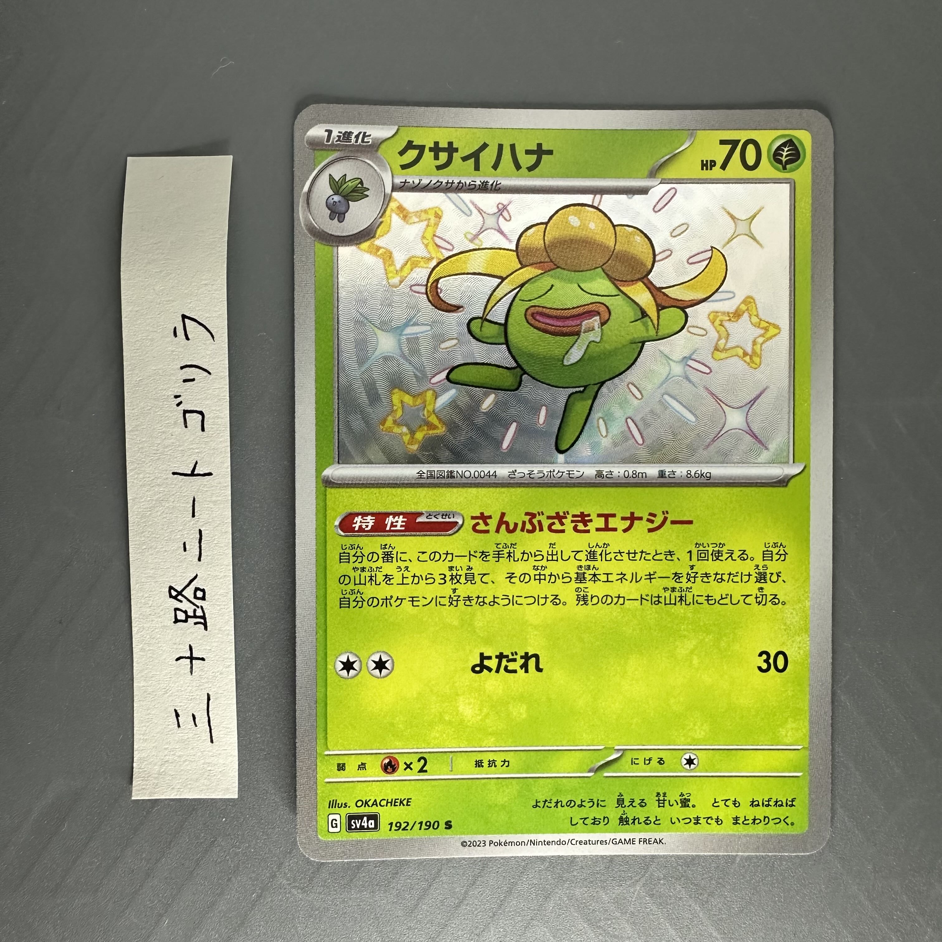 クサイハナ S 192/190