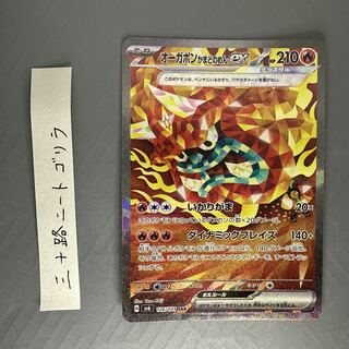 オーガポンかまどのめんex SAR 126/101