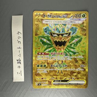 Ogapon Midori-no-men ex UR 131/101