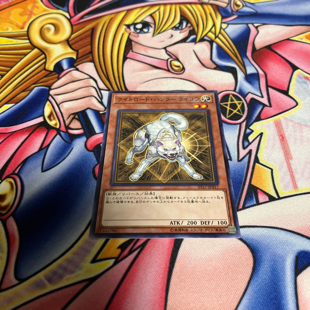 Light Road Hunter Raikou Normal JP017