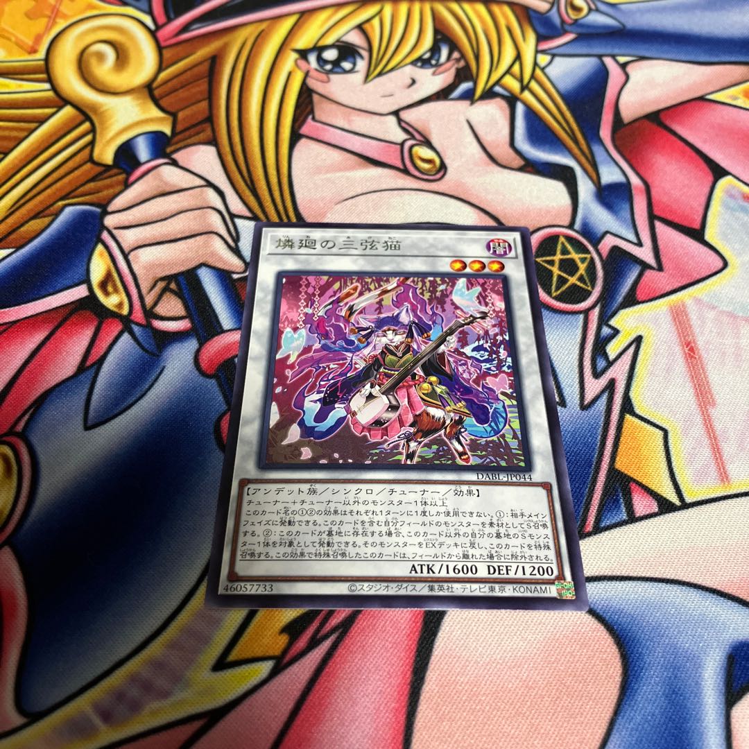 Rin-kai no Sangen-neko Rare JP044