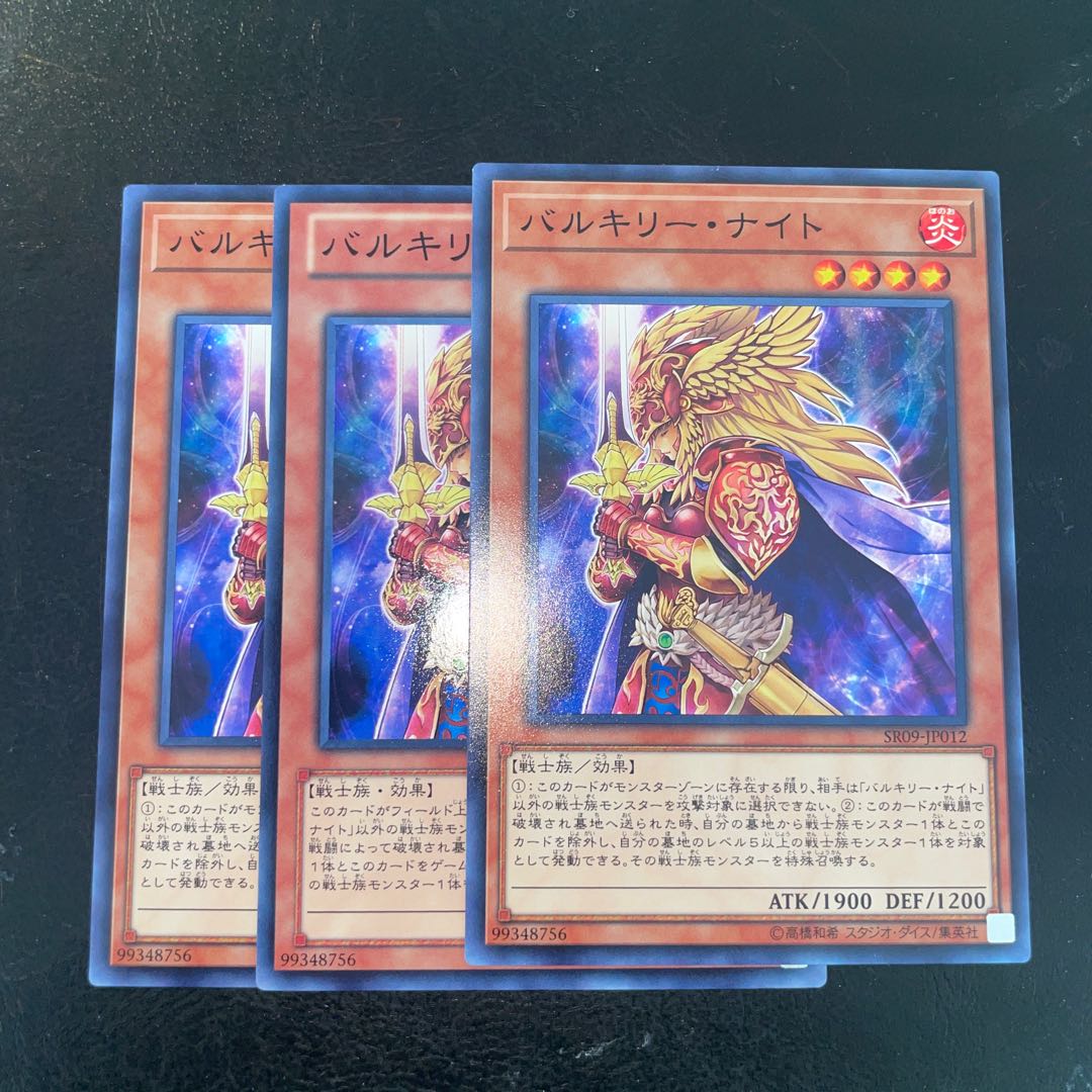 バルキリー・ナイト ノーマル JP012