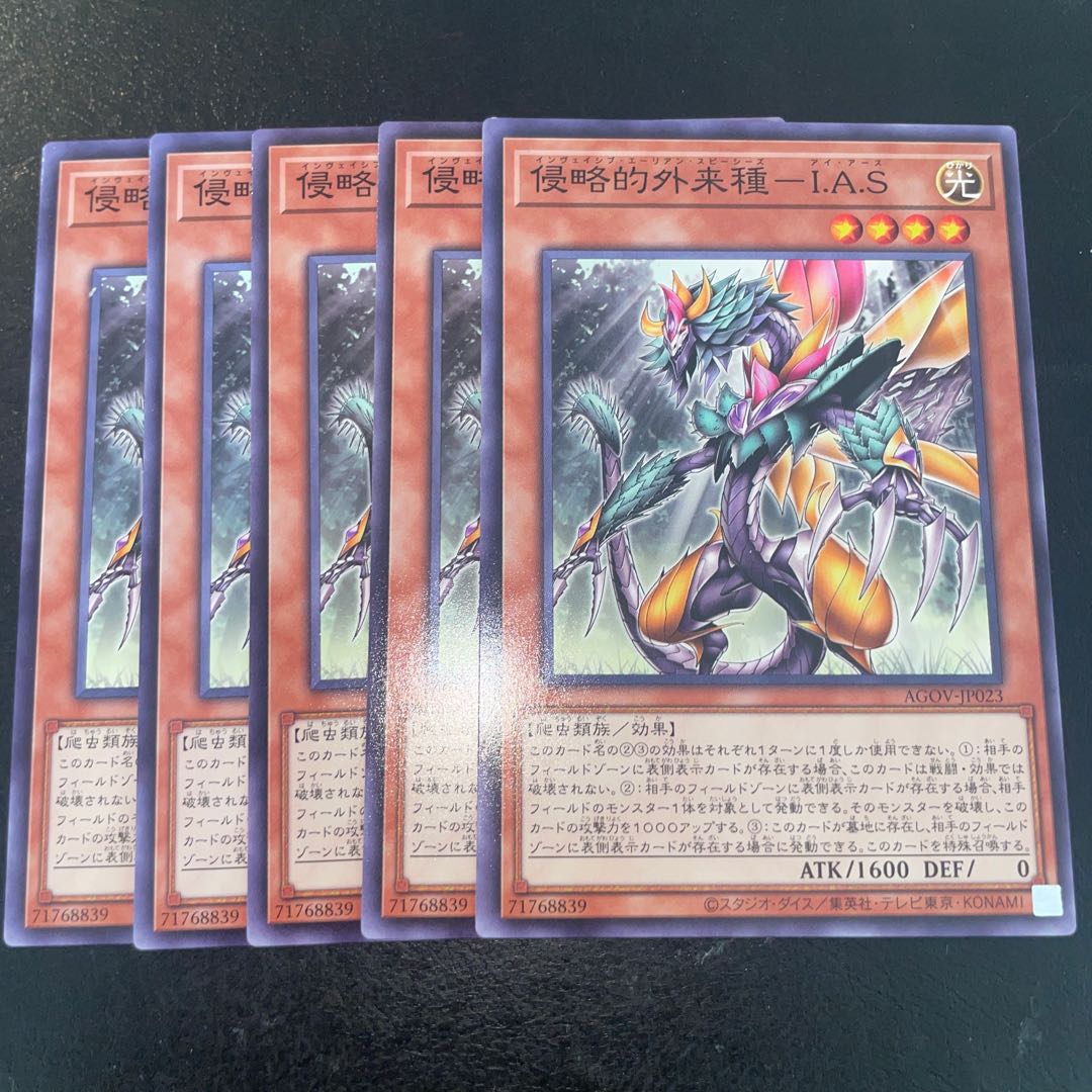 侵略的外来種-I.A.S ノーマル JP023