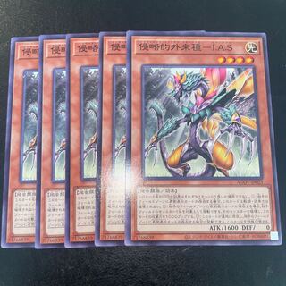 侵略的外来種-I.A.S ノーマル JP023