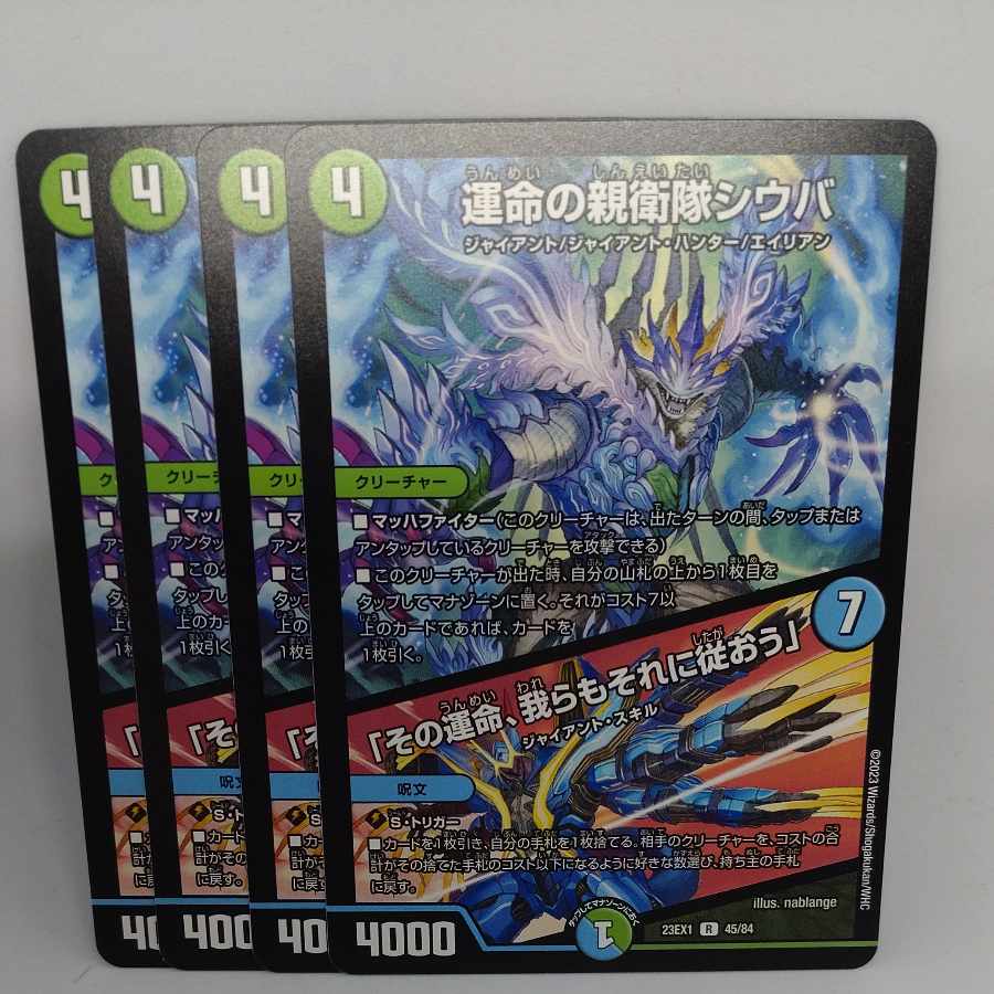 Shiba, SS of Fate｜"That fate, we shall follow it" R 45/84