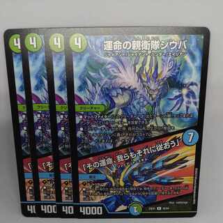 運命の親衛隊シウバ｜「その運命、我らもそれに従おう」 R 45/84