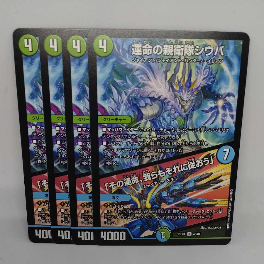 Shiba, SS of Fate|"That fate, we shall follow it" R 45/84