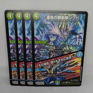 運命の親衛隊シウバ｜「その運命、我らもそれに従おう」 R 45/84