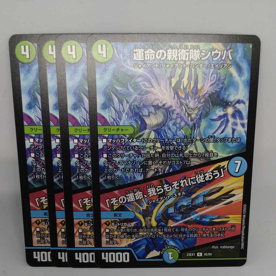 Shiba, SS of Fate｜"That fate, we shall follow it" R 45/84