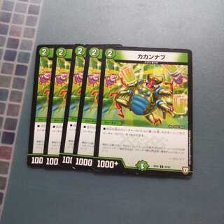カカンナブ ５枚セット 458