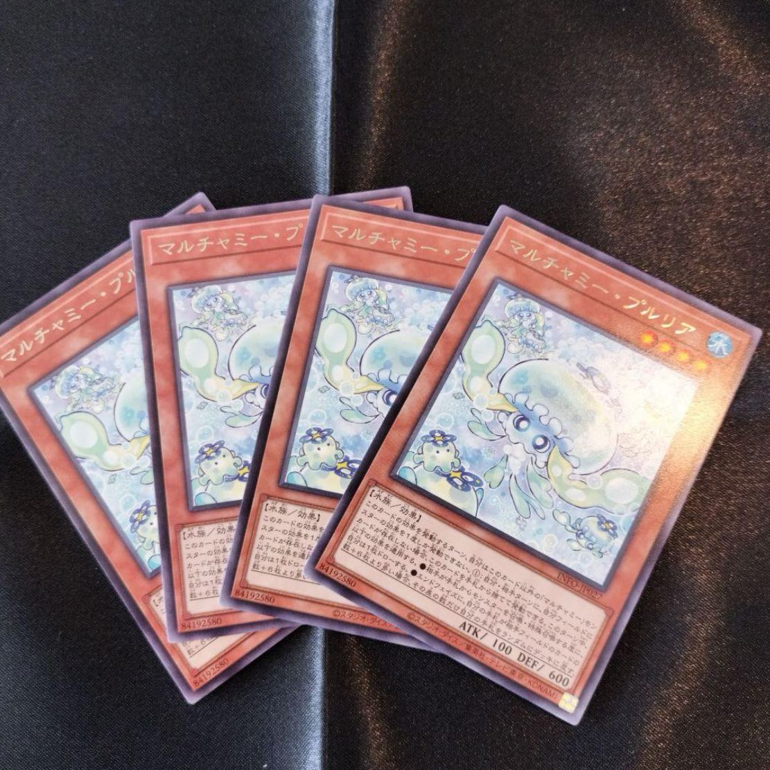 Multyamy Purulia rare INFO-JP027