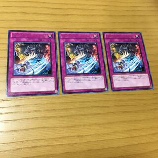 ディメンション・スライド R 3点セット