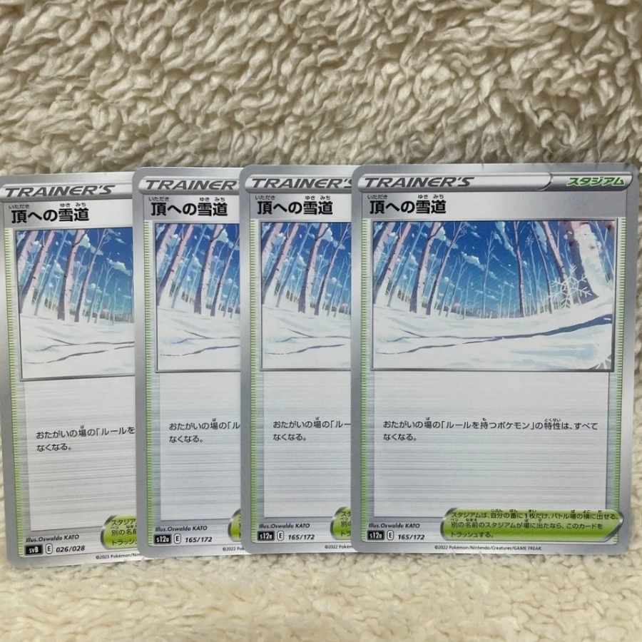 Snow Road to the Top 165/172