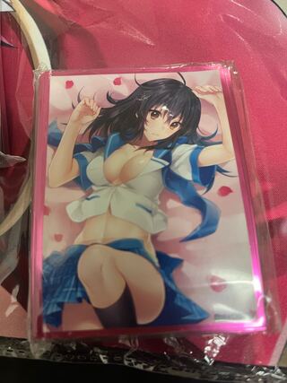 ストライク・ザ・ブラッド　スリーブ　姫柊雪菜