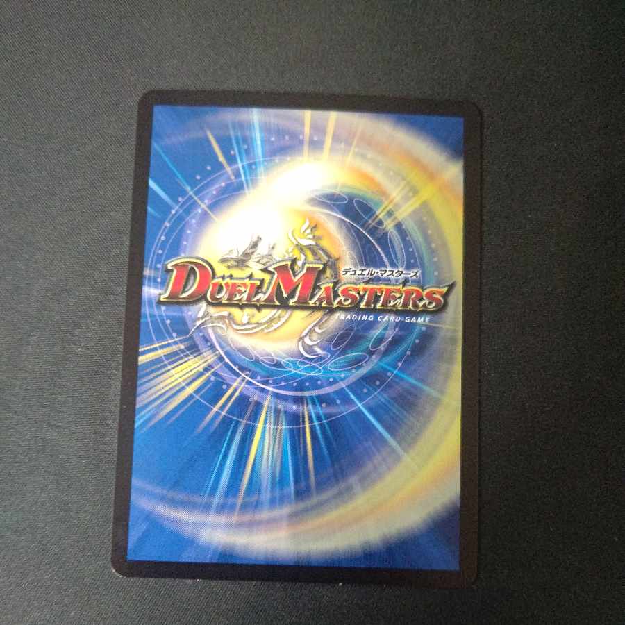 ドラゴンズ・サイン 黒トレ