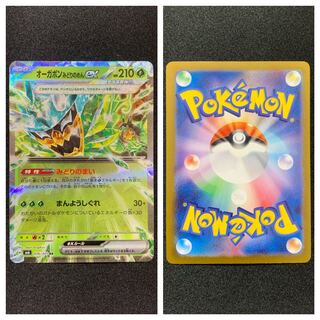 ポケカ【オーガポンみどりのめんex】RR