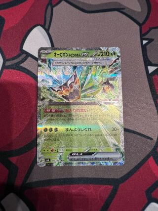 Ogapon Midori-no-men ex RR 016/101