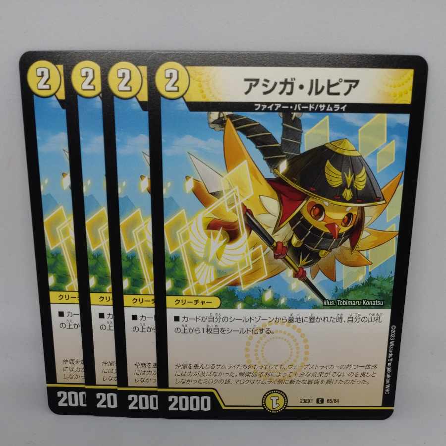 アシガ・ルピア C 65/84