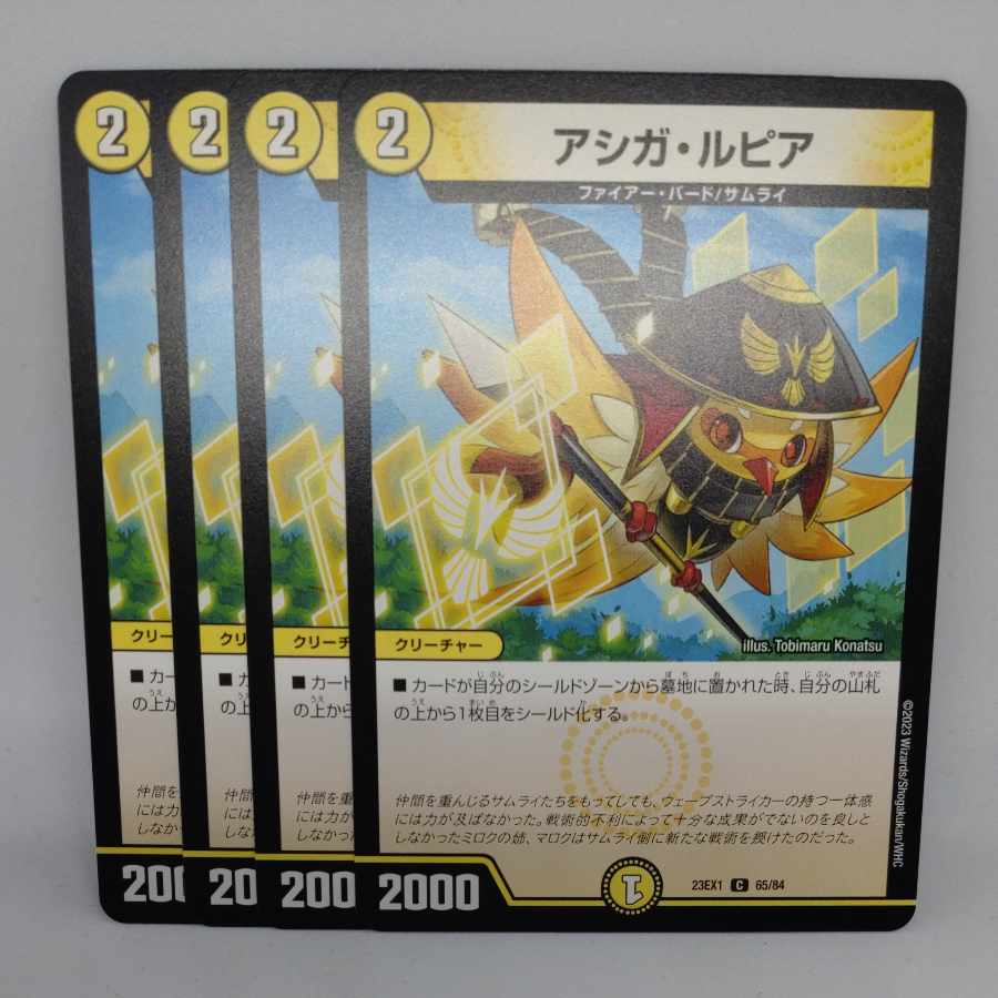 アシガ・ルピア C 65/84