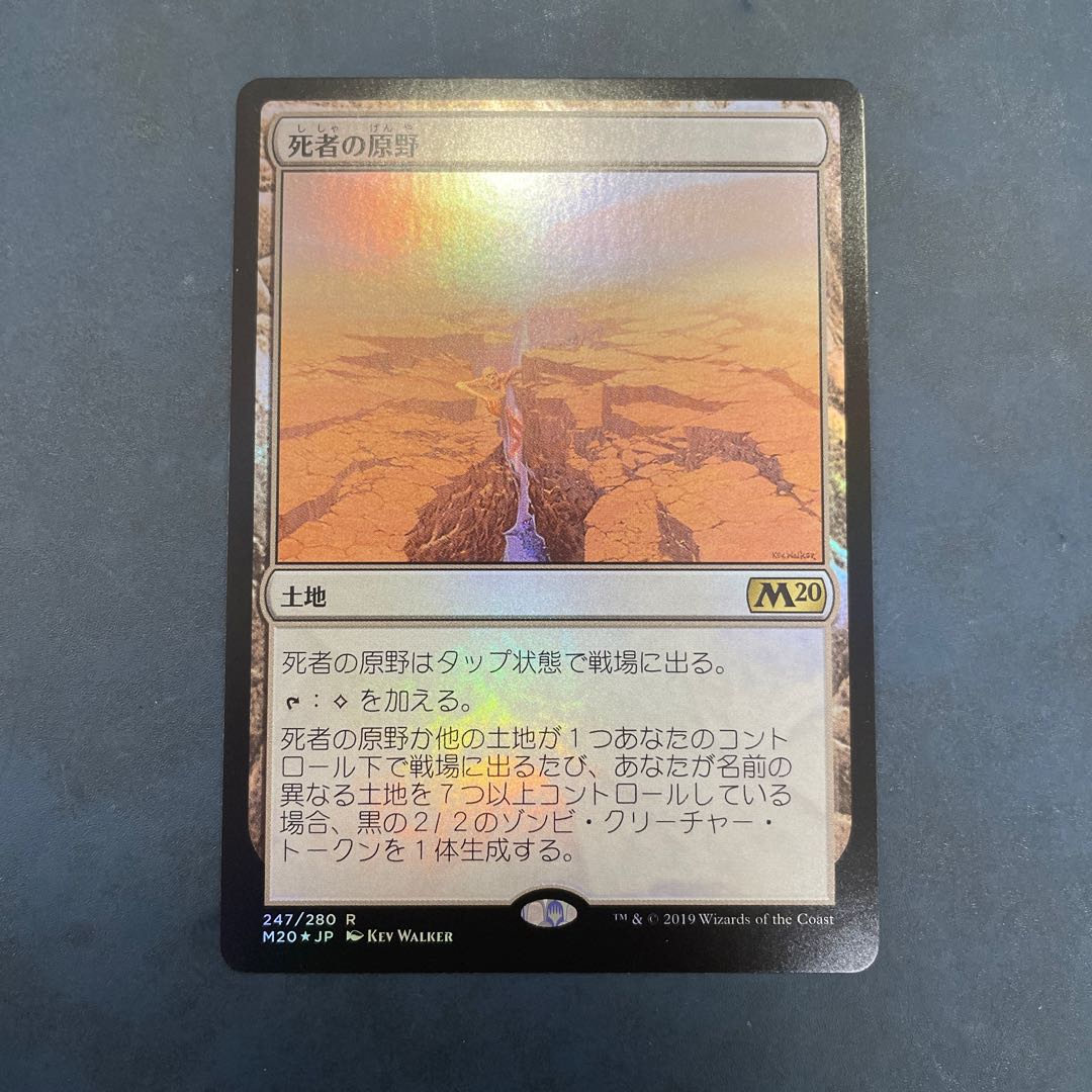 【MTG】死者の原野　4枚組 死者の原野/Field of the Dead》[M20] 土地R | 日本最大級 MTG