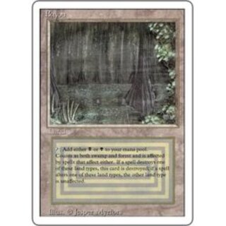 mtg Bayou 【3ED】 リバイズド 英語版 1枚 デュアルランド MTG Scrubland 英語版 リヴァイズド 3ED 白 黒 デュアルランド