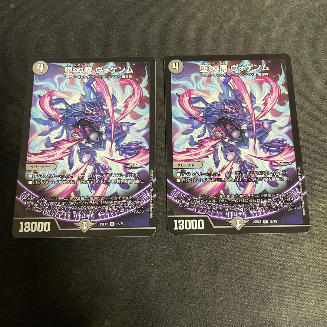 Fallen and Infinite Demon Vogenm R 16/75