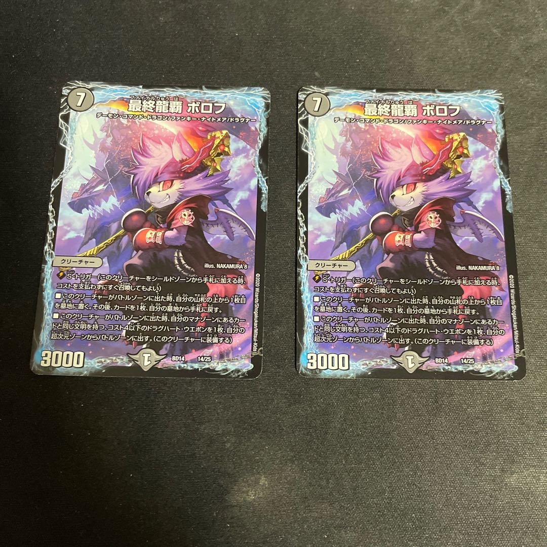 Final Dragon Heights Borov 14/25