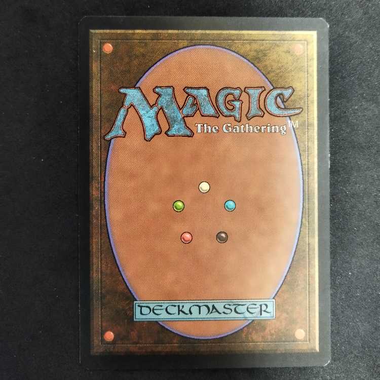 ザルファーの聖戦士 1枚